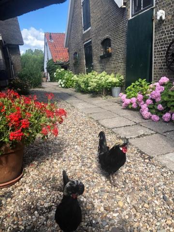 B&B De Beijersche Stee, Logies Aan De Waterkant Stolwijk Bagian luar foto