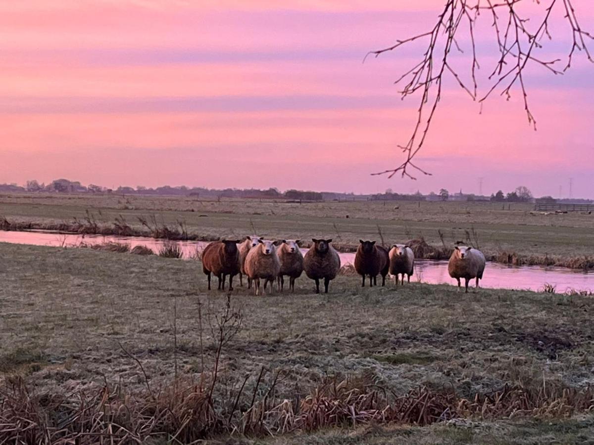 B&B De Beijersche Stee, Logies Aan De Waterkant Stolwijk Bagian luar foto